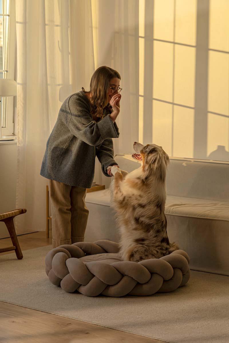 Petloom cozy braided cloud pet bed calming plush bed for dogs and cats

