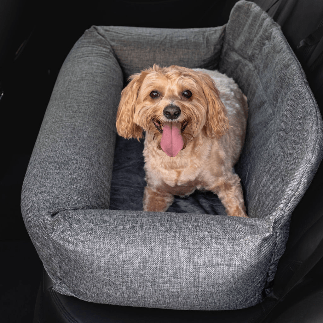 Dog sitting in a gray pet car seat with a black background