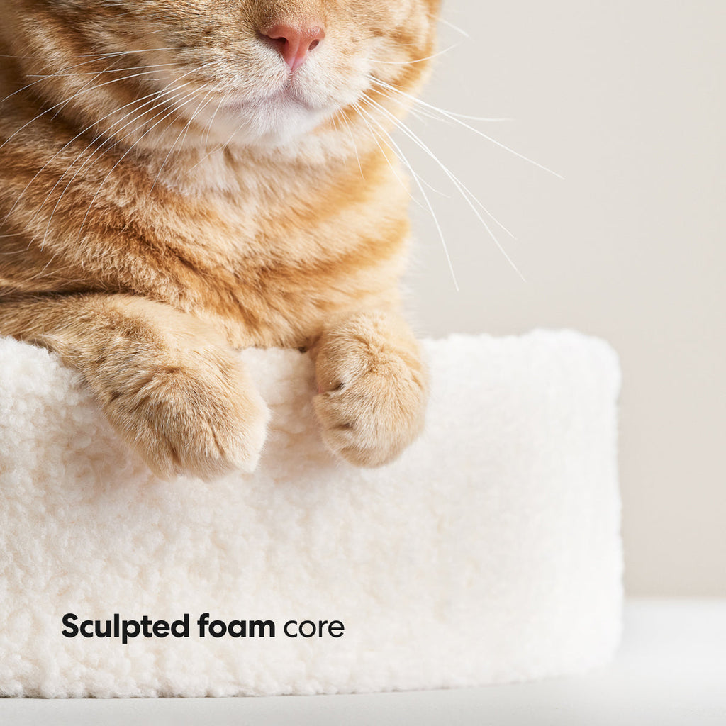 PETLOOM Kip Cat Bed™