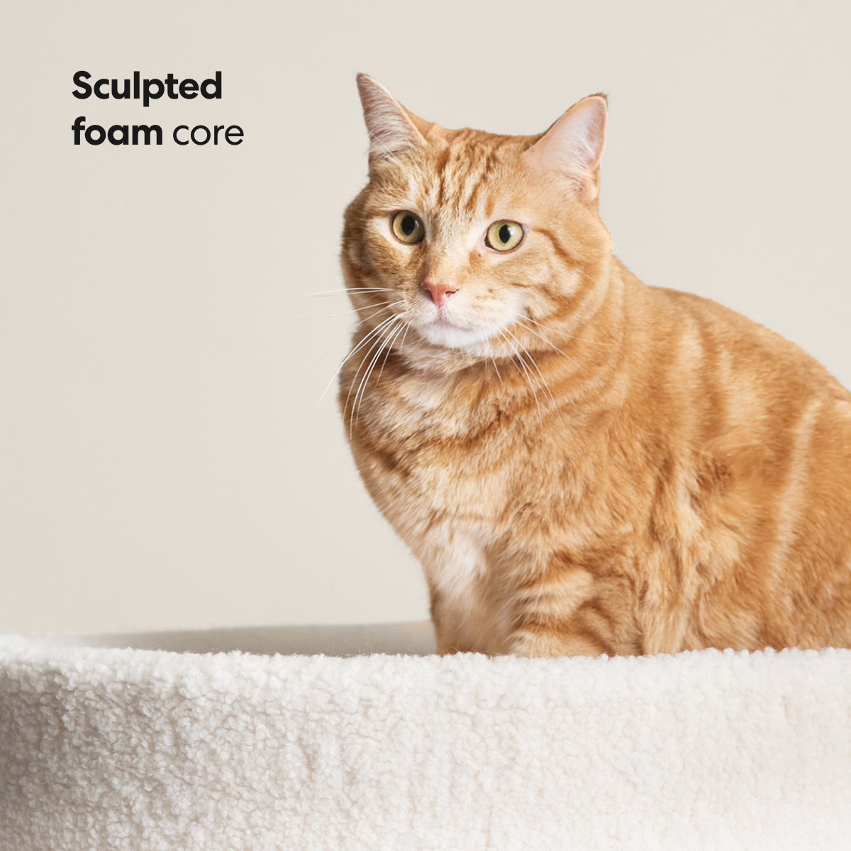 PETLOOM Kip Cat Bed™