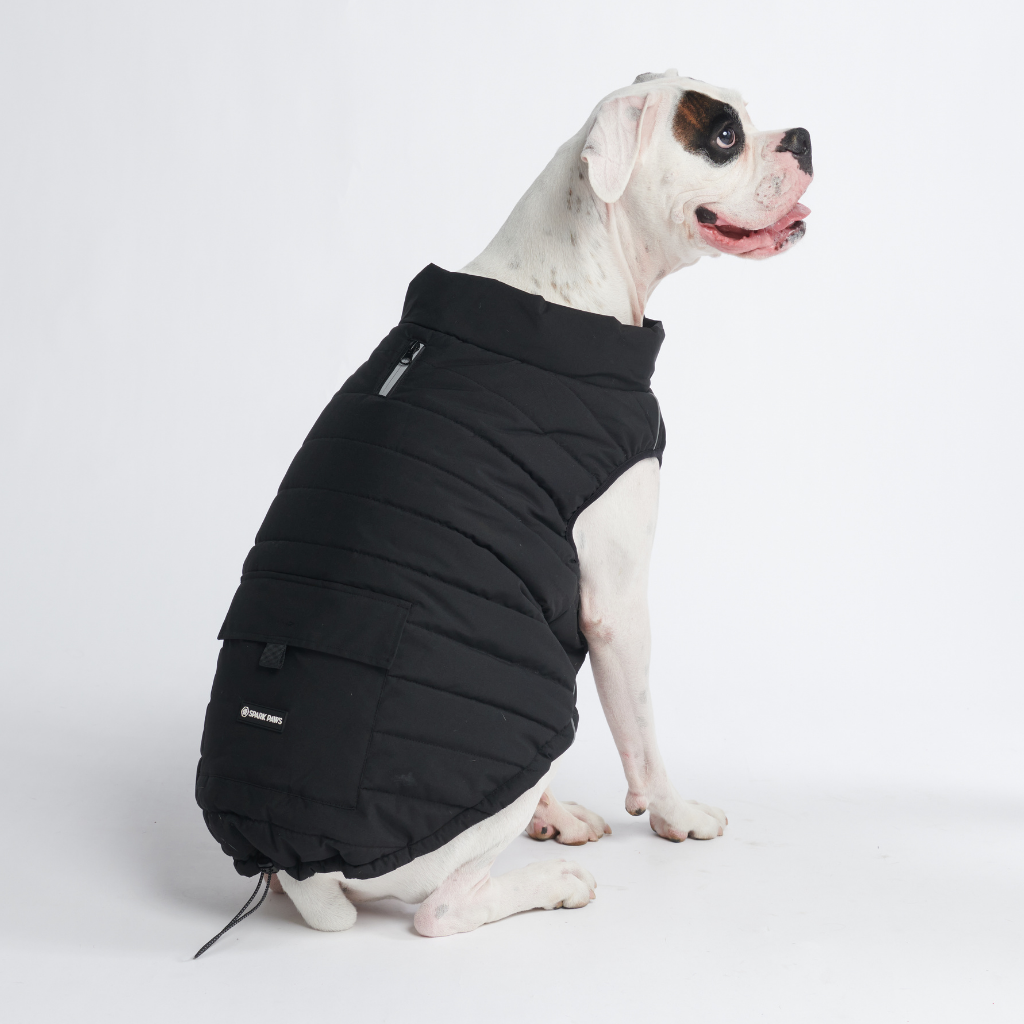 Petloom All-Season Insulated Dog Jacket™