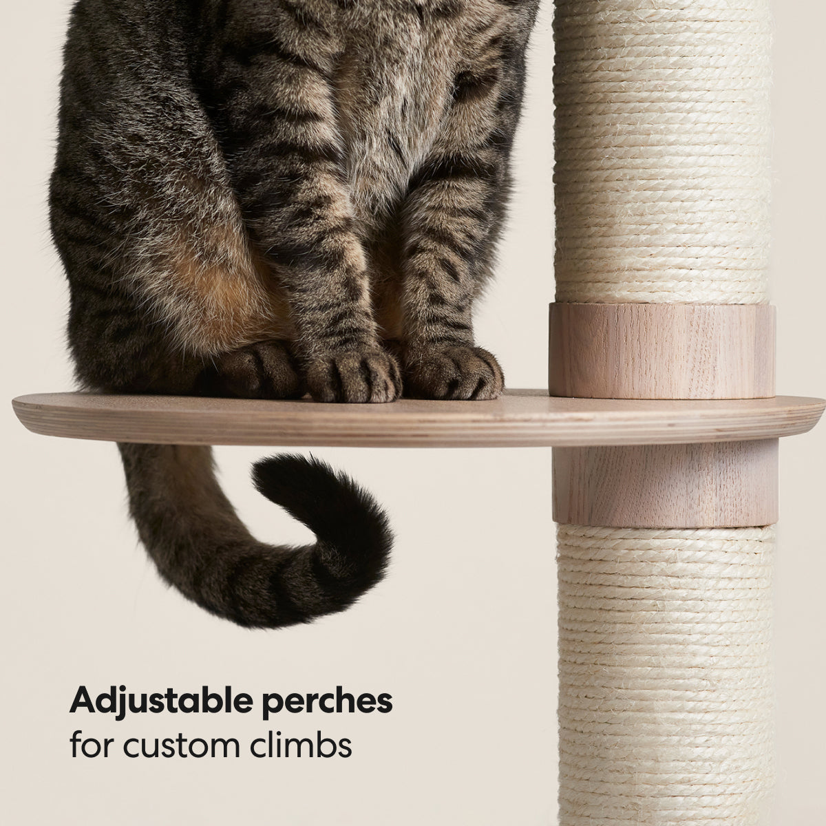 PETLOOM Frond Cat Tree™