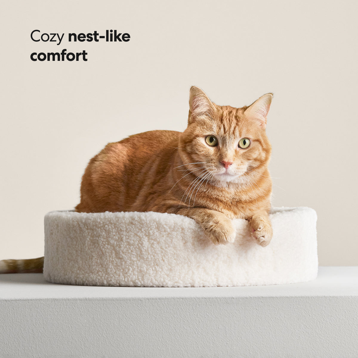PETLOOM Kip Cat Bed™