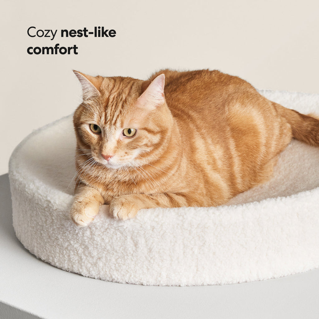 PETLOOM Kip Cat Bed™
