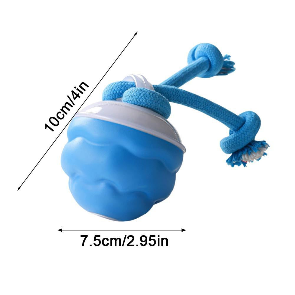 Petloom Smart Dog Toy Ball Electronic Interactive Pet Toy