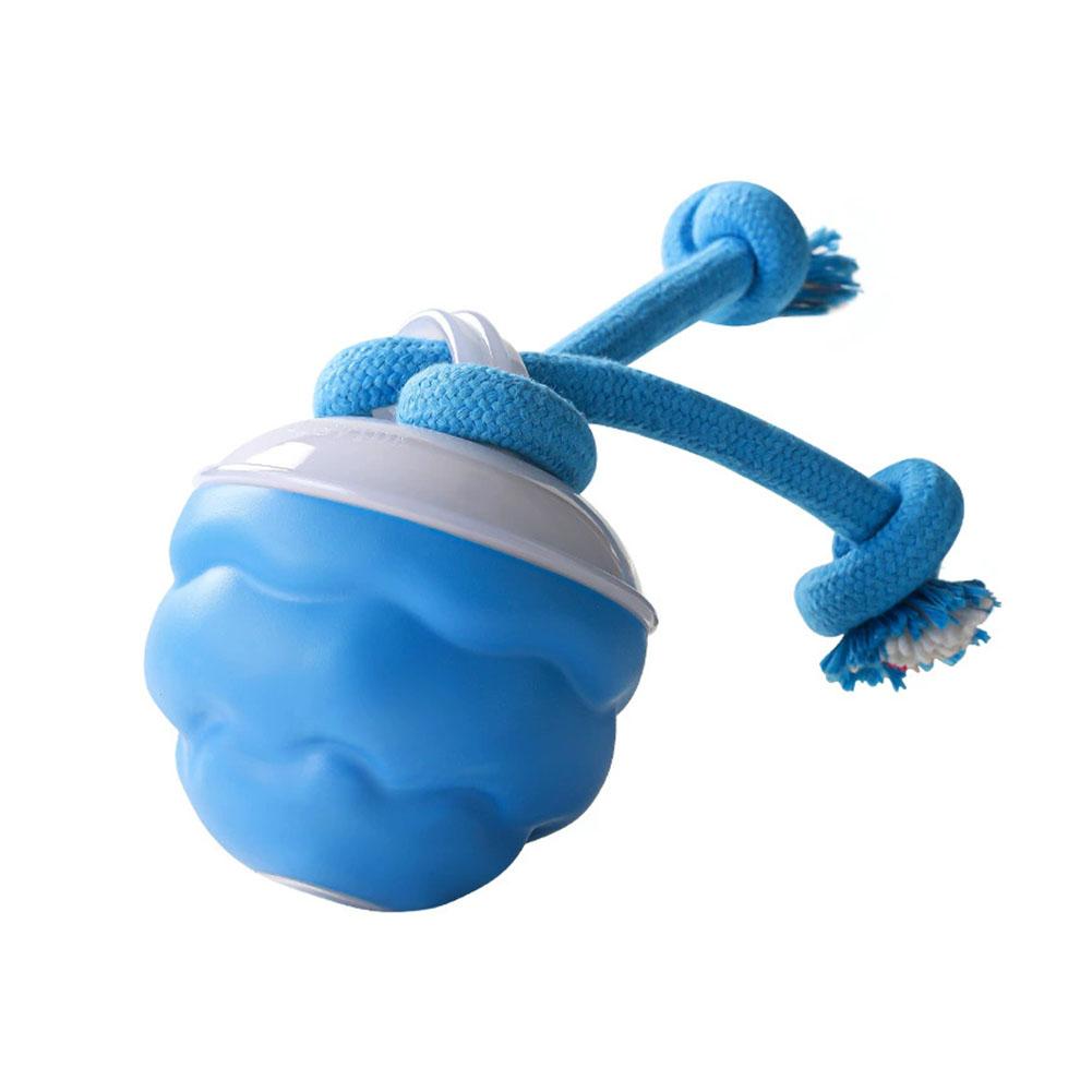 Petloom Smart Interactive Dog Ball™