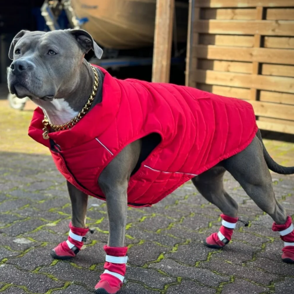 Petloom All-Season Insulated Dog Jacket™