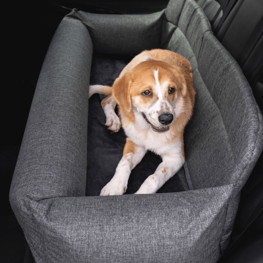 PETLOOM Memory Foam Dog Car Bed™