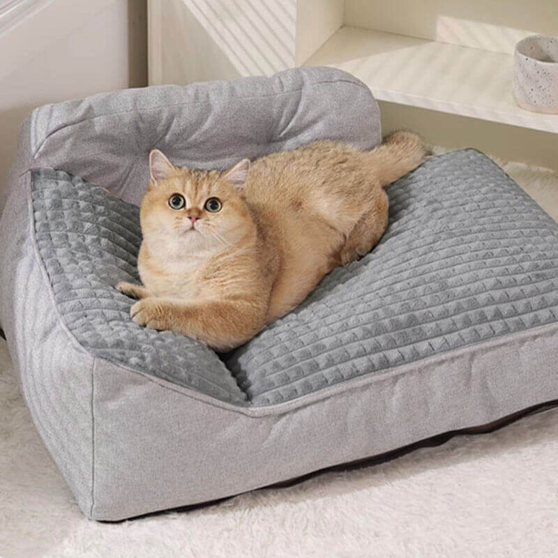 PETLOOM All Seasons Thickened Large Washable Cat & Dog Pillow Bed™