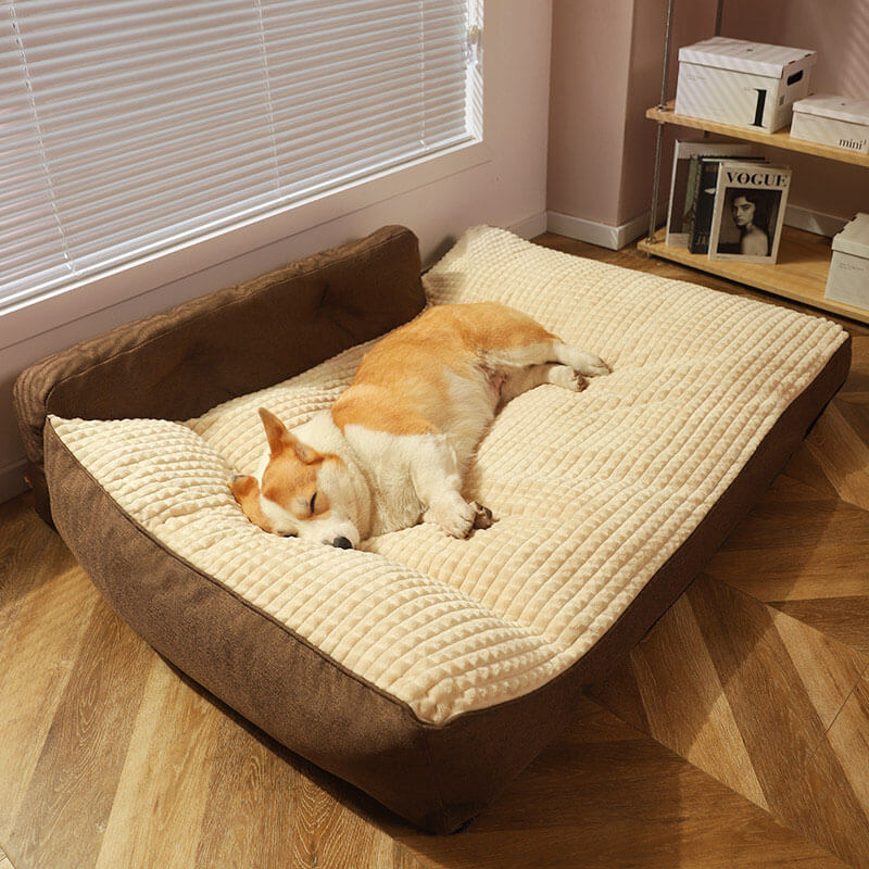 PETLOOM All Seasons Thickened Large Washable Cat & Dog Pillow Bed™