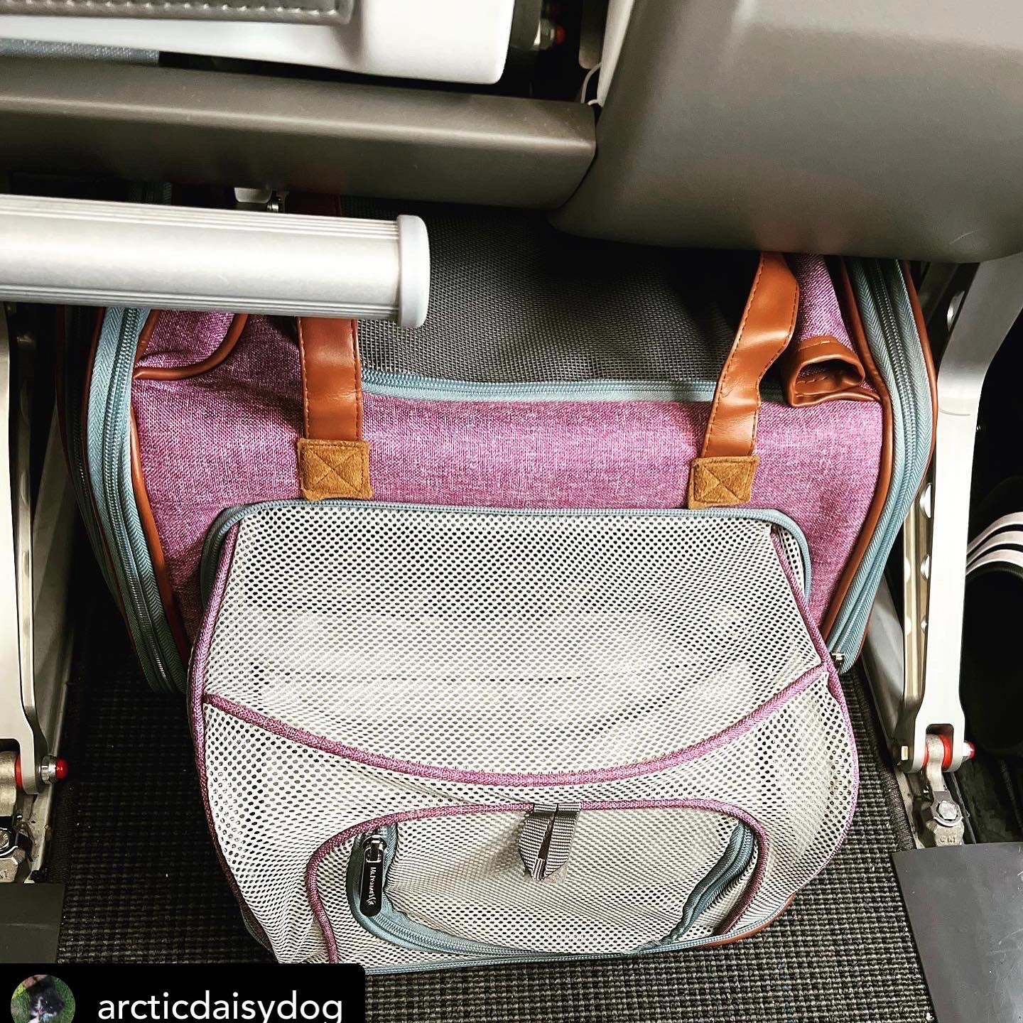 Petloom Multi-Entrance Travel Pet Carrier™