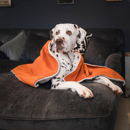 PETLOOM Velvet Dog & Puppy Blanket™