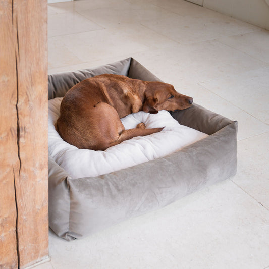 PETLOOM Velvet Box Dog Bed™
