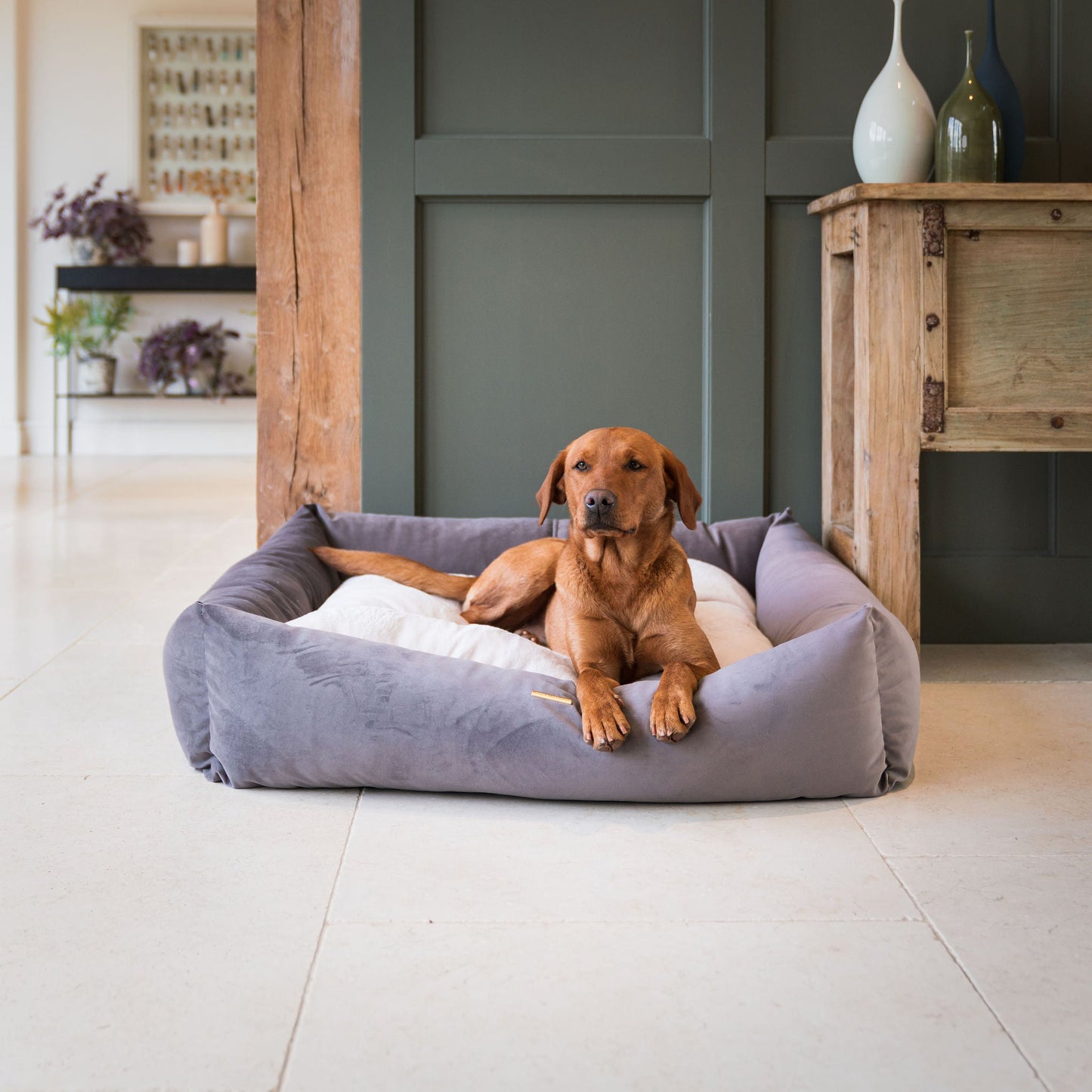 PETLOOM Velvet Box Dog Bed™