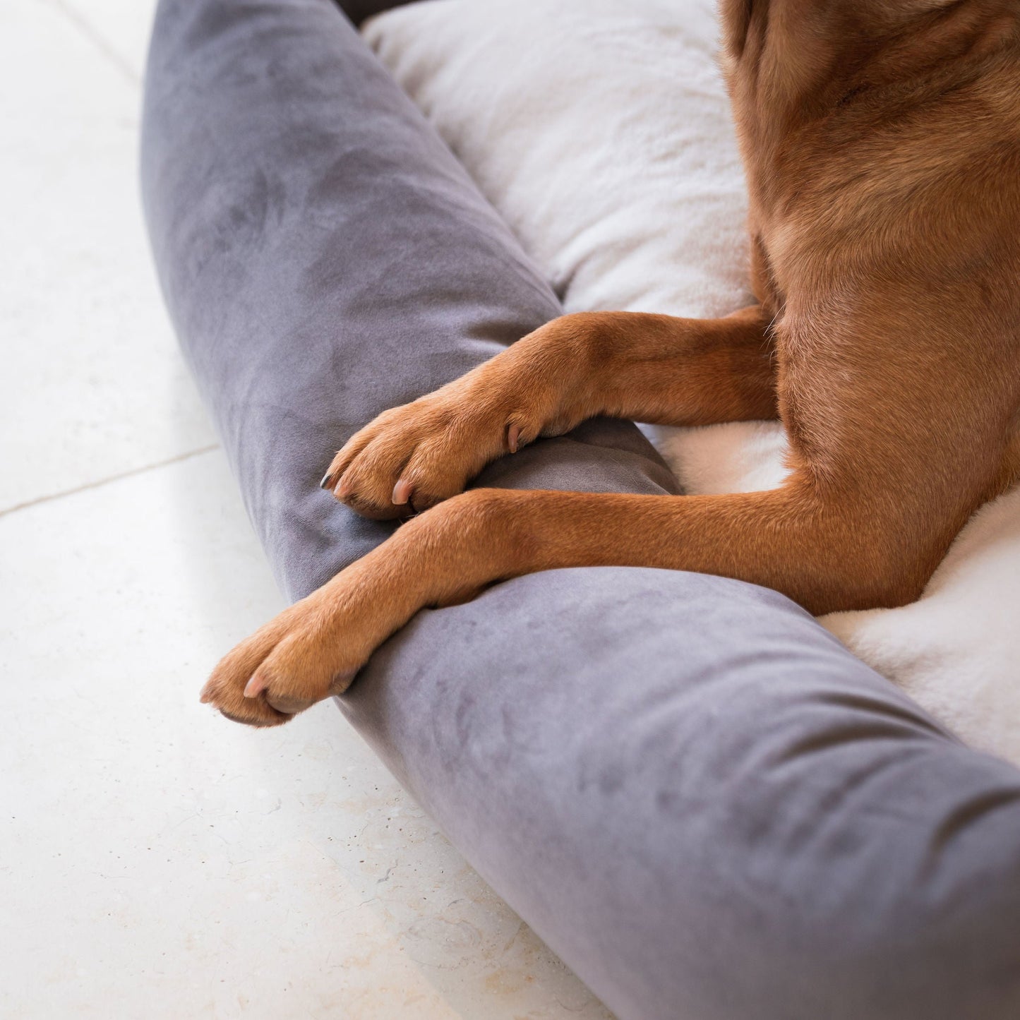 PETLOOM Velvet Box Dog Bed™