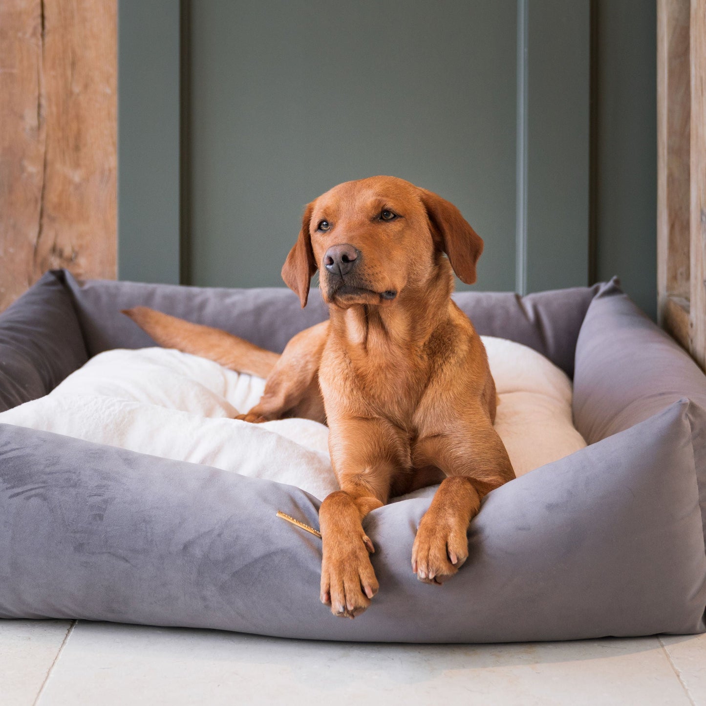 PETLOOM Velvet Box Dog Bed™