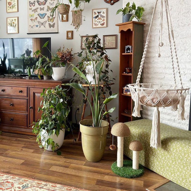 PETLOOM Bohemia Macrame Cat Hammock™