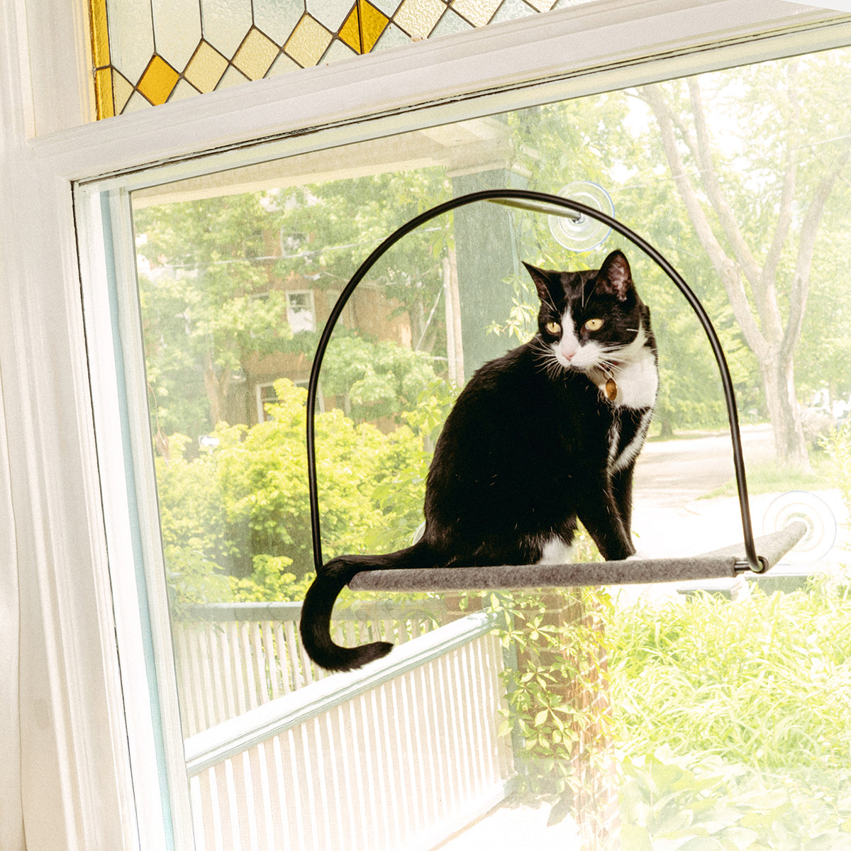 PETLOOM Cloud Nine Window Cat Hammock™