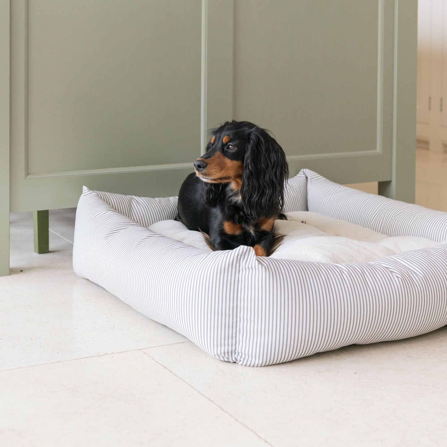 PETLOOM Regency Stripe Box Dog Bed™