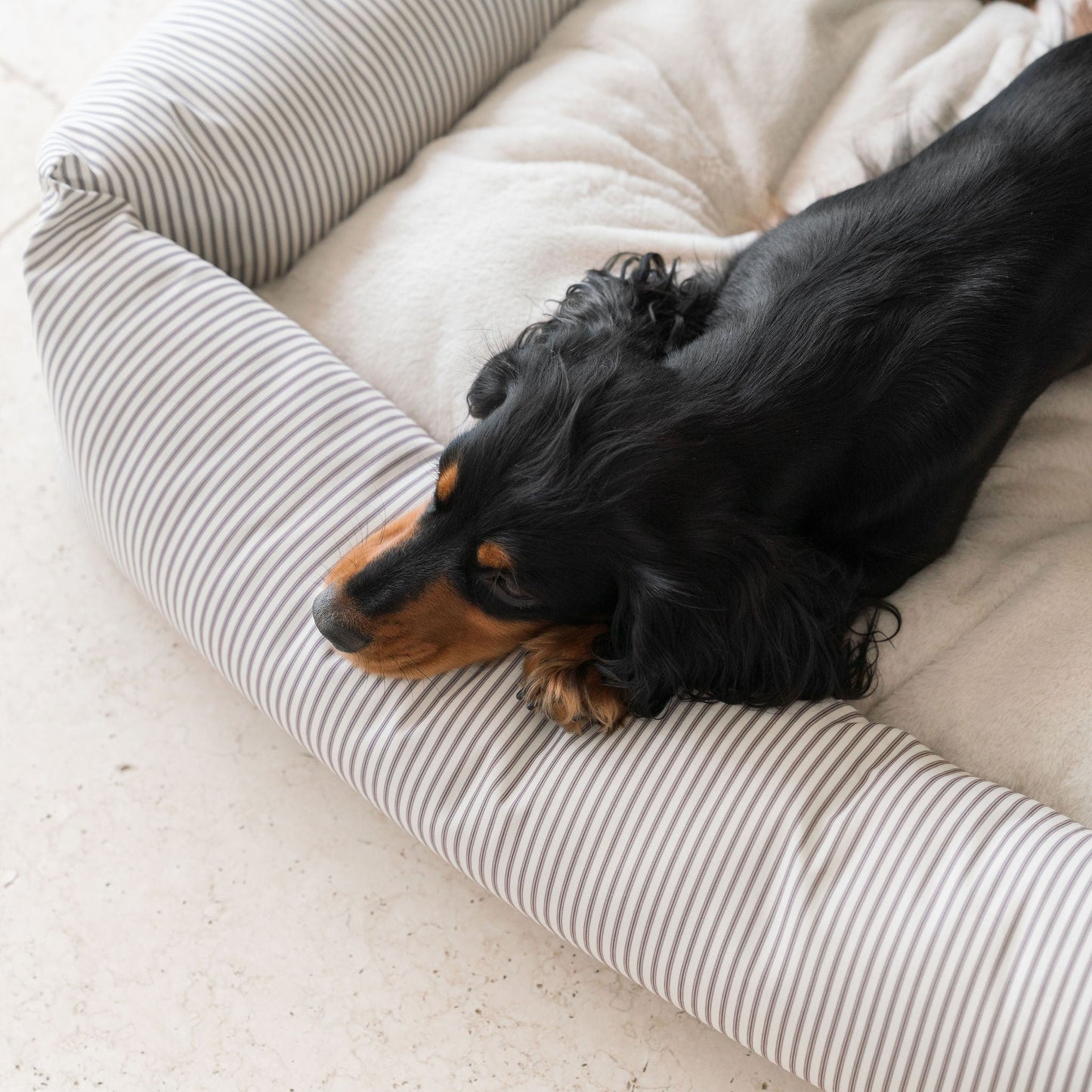 PETLOOM Regency Stripe Box Dog Bed™