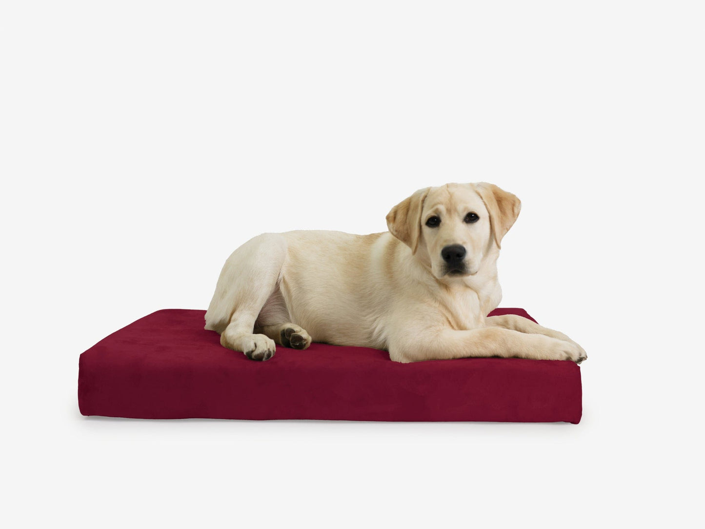 PETLOOM OrthoLift Orthopedic Crate Bed™
