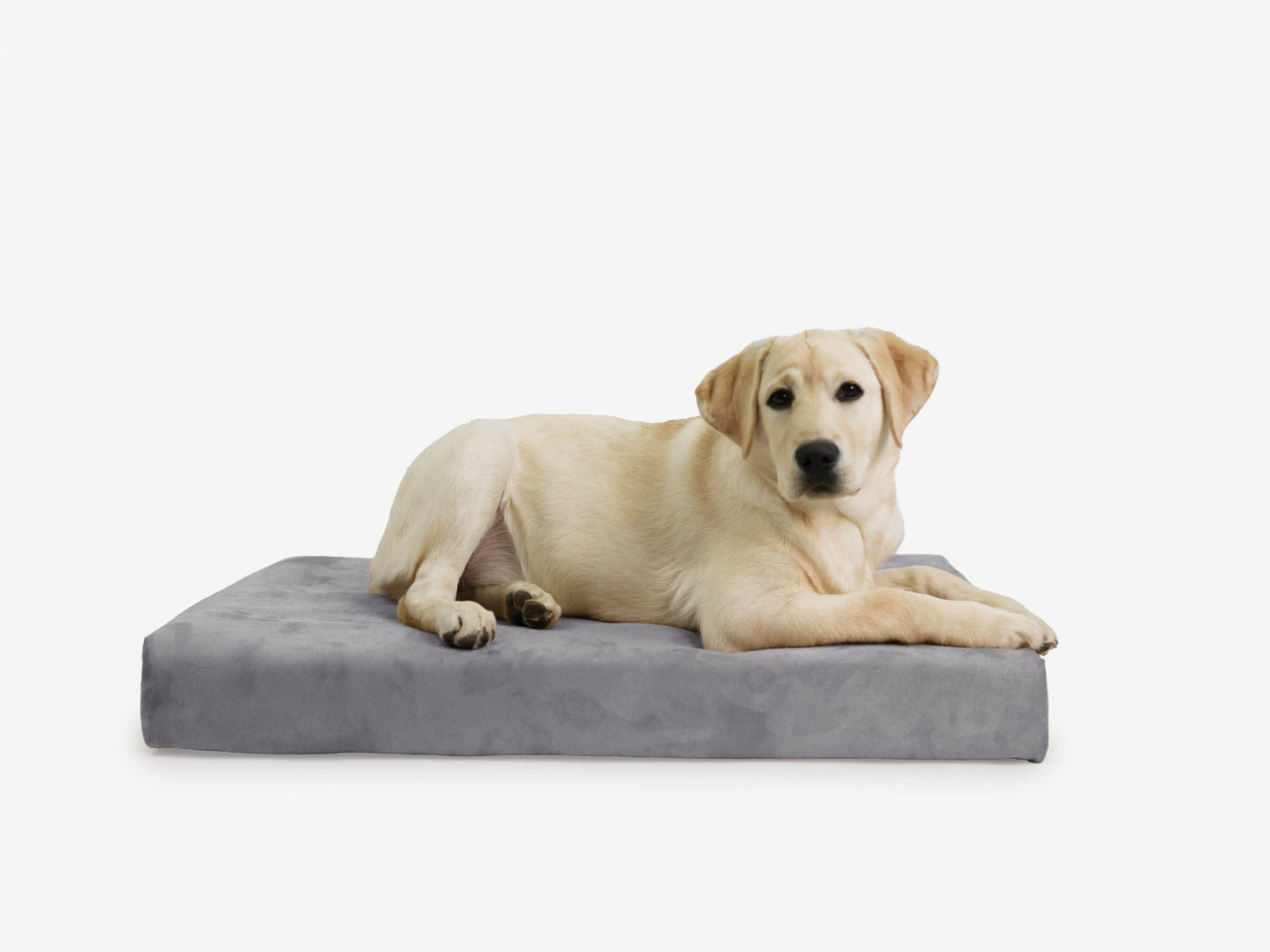 PETLOOM OrthoLift Orthopedic Crate Bed™