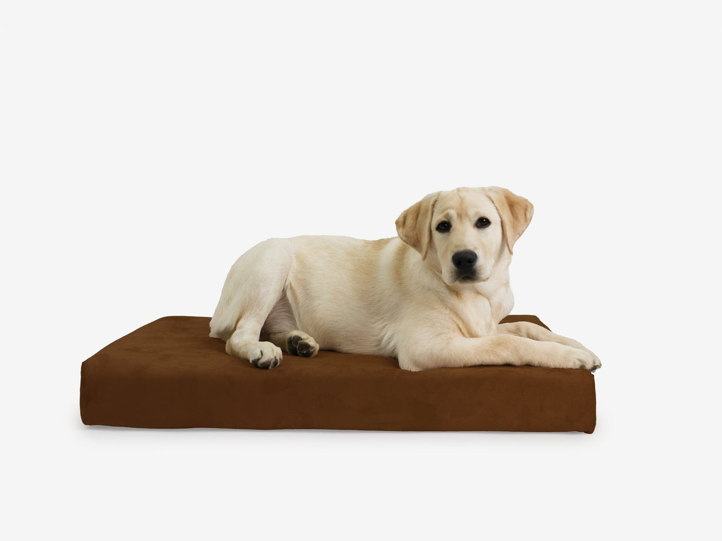 PETLOOM OrthoLift Orthopedic Crate Bed™
