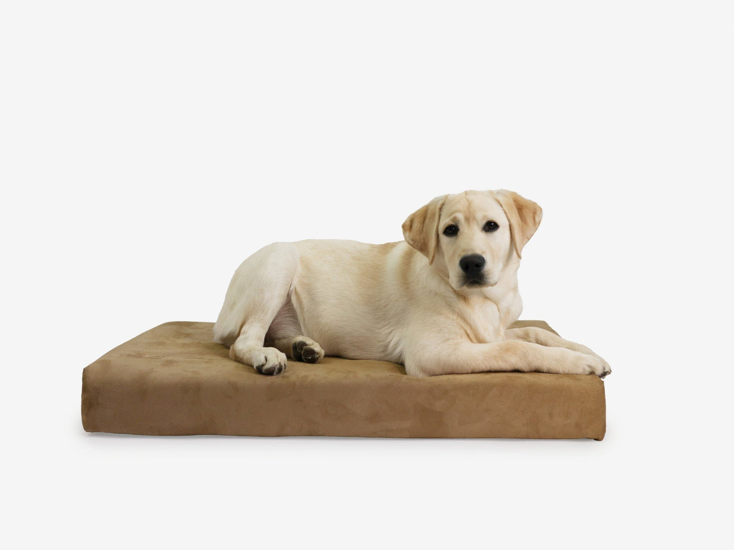 PETLOOM OrthoLift Orthopedic Crate Bed™