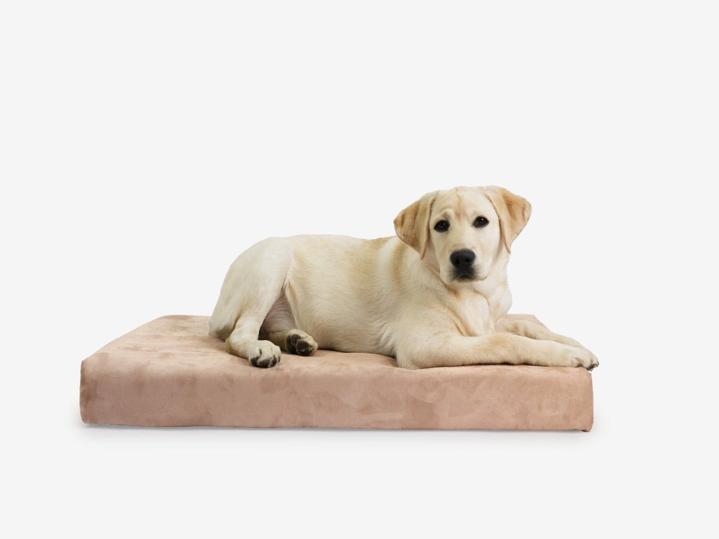 PETLOOM OrthoLift Orthopedic Crate Bed™