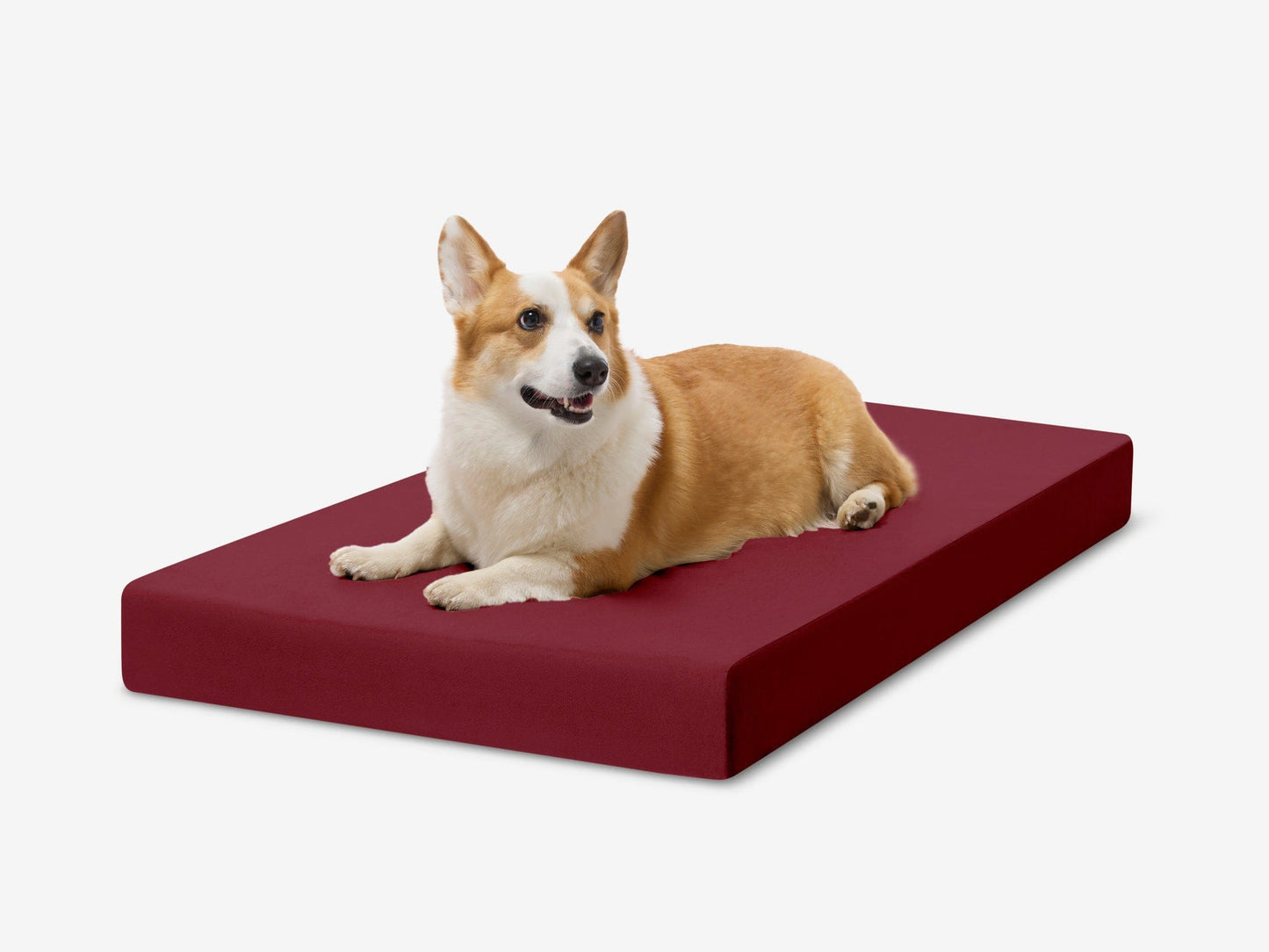 PETLOOM OrthoLift Orthopedic Crate Bed™
