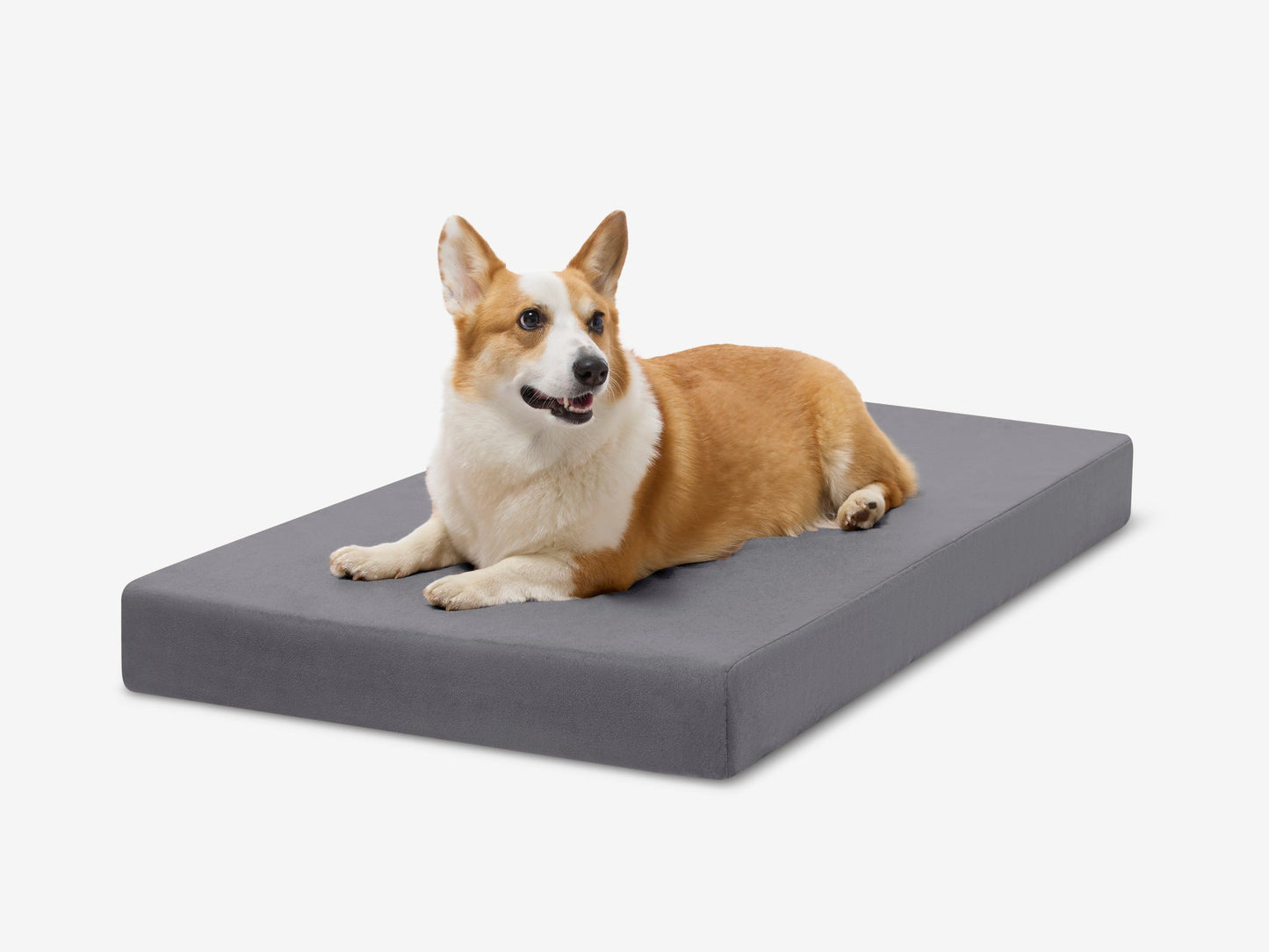 PETLOOM OrthoLift Orthopedic Crate Bed™