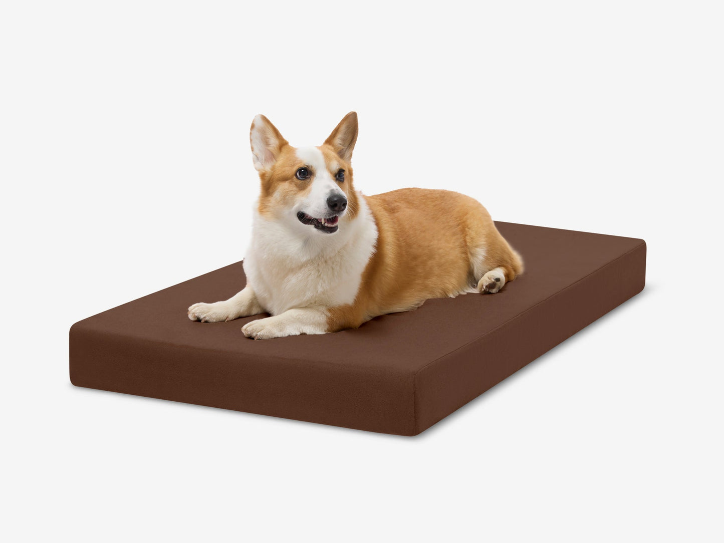 PETLOOM OrthoLift Orthopedic Crate Bed™