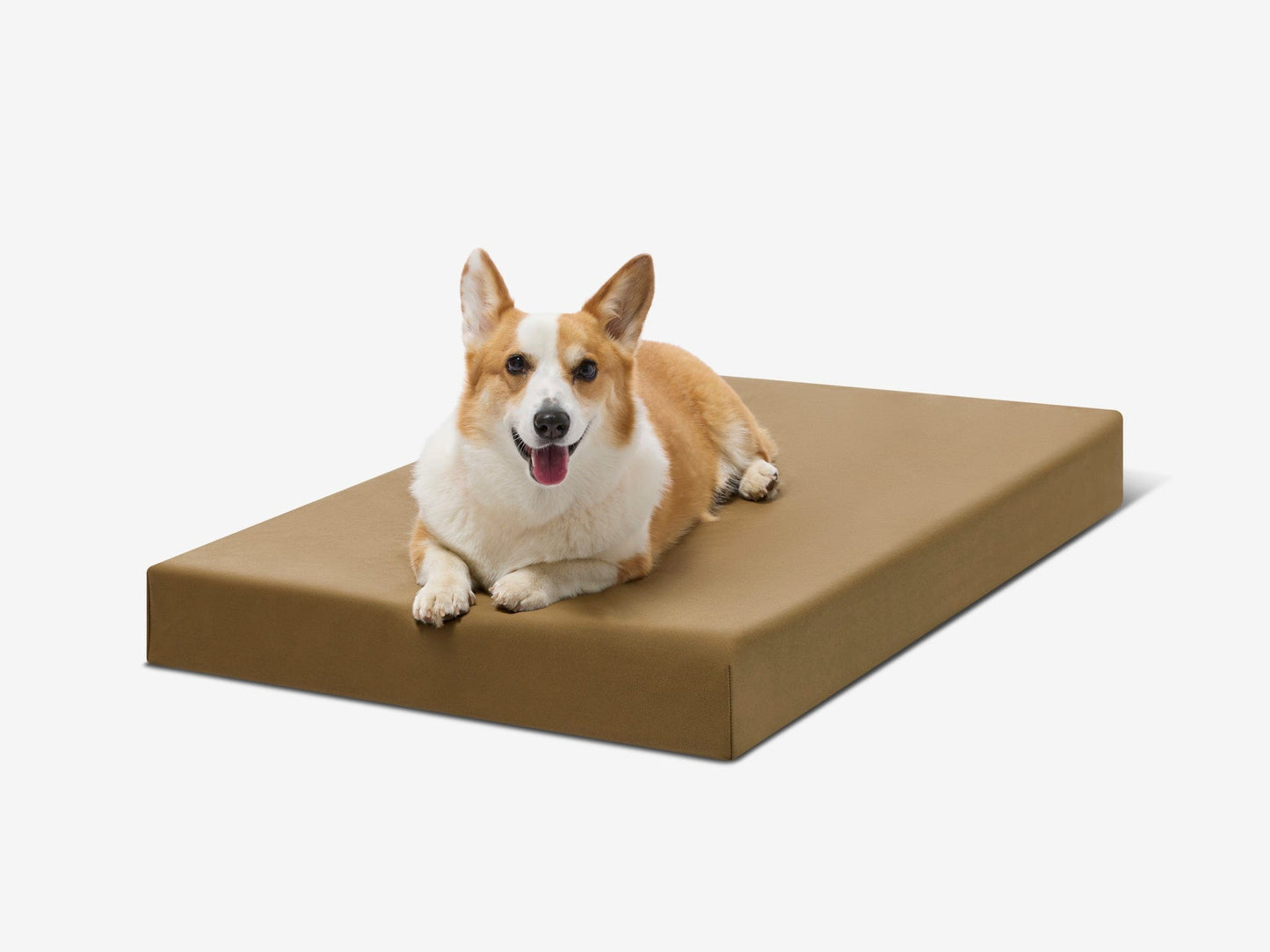 PETLOOM OrthoLift Orthopedic Crate Bed™