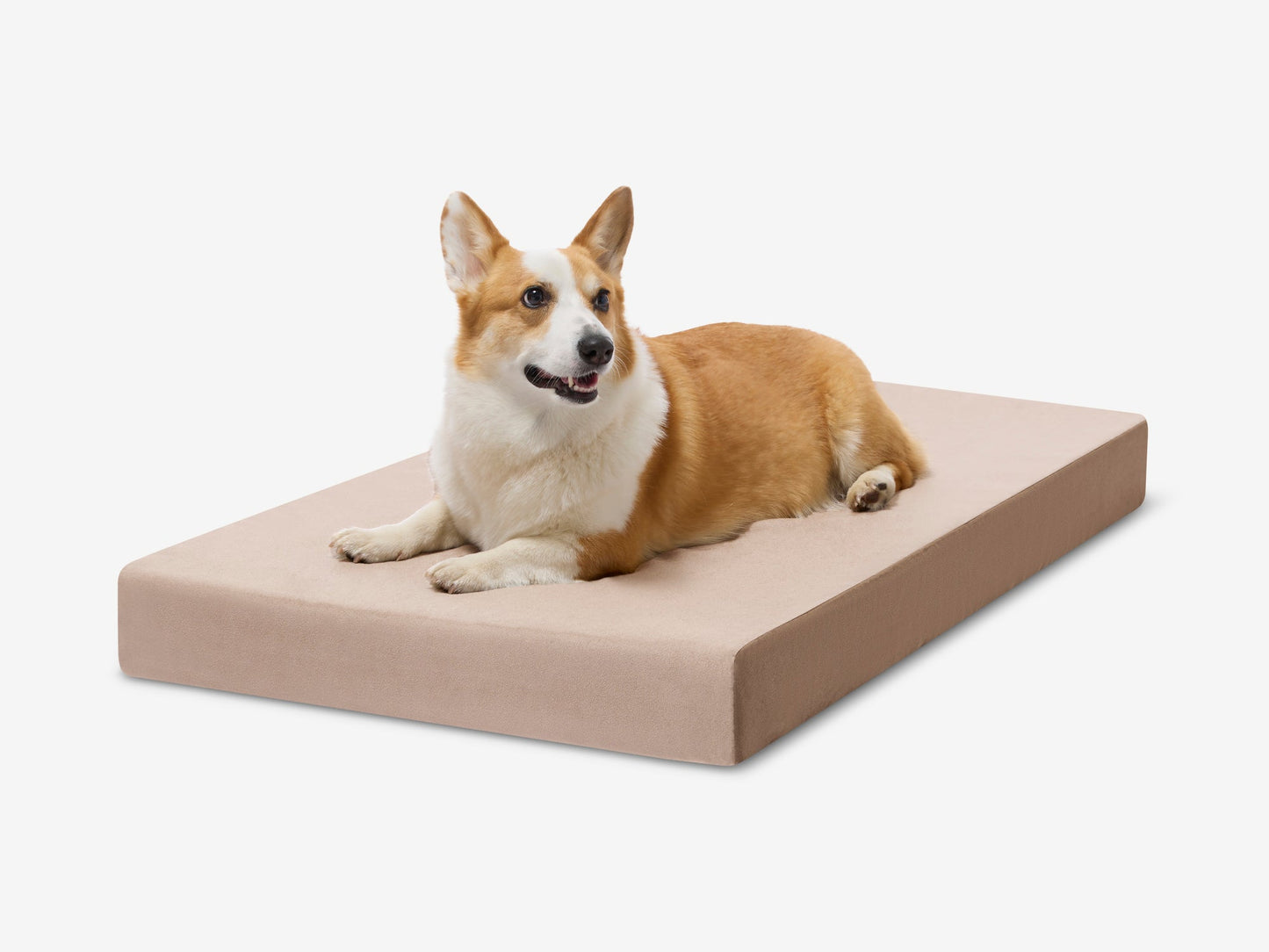 PETLOOM OrthoLift Orthopedic Crate Bed™