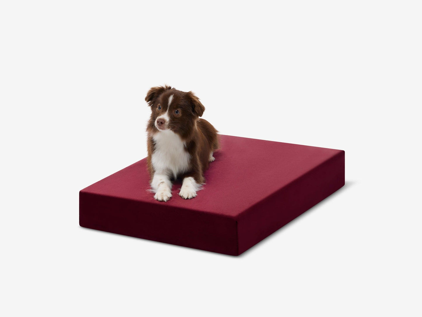PETLOOM OrthoLift Orthopedic Crate Bed™