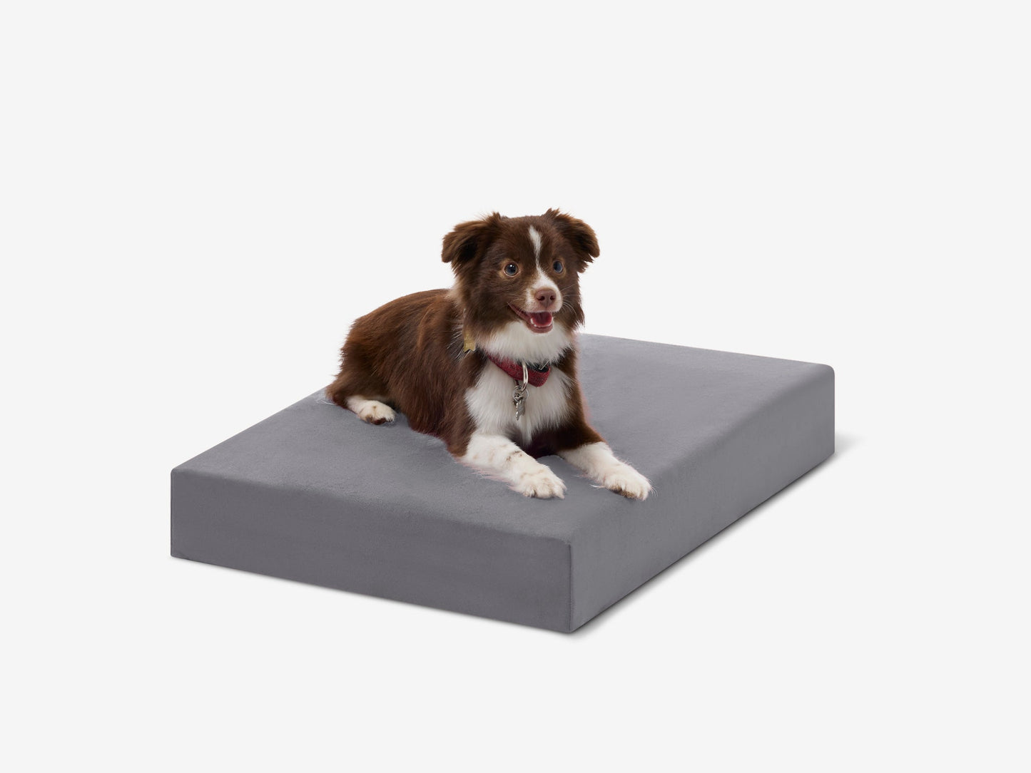 PETLOOM OrthoLift Orthopedic Crate Bed™