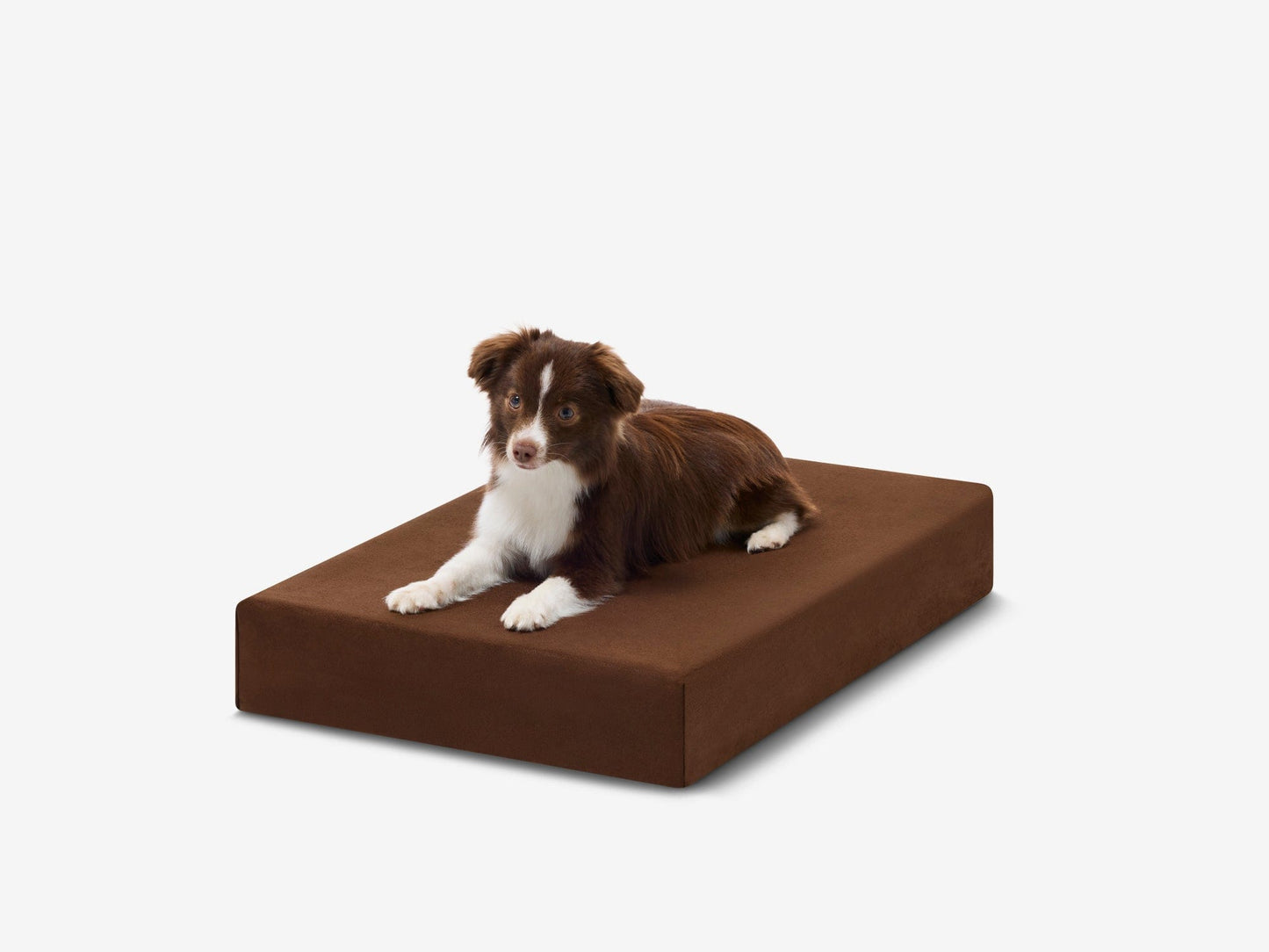 PETLOOM OrthoLift Orthopedic Crate Bed™
