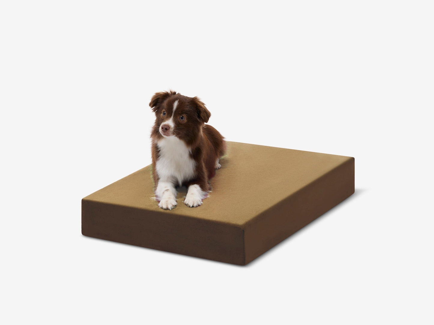PETLOOM OrthoLift Orthopedic Crate Bed™