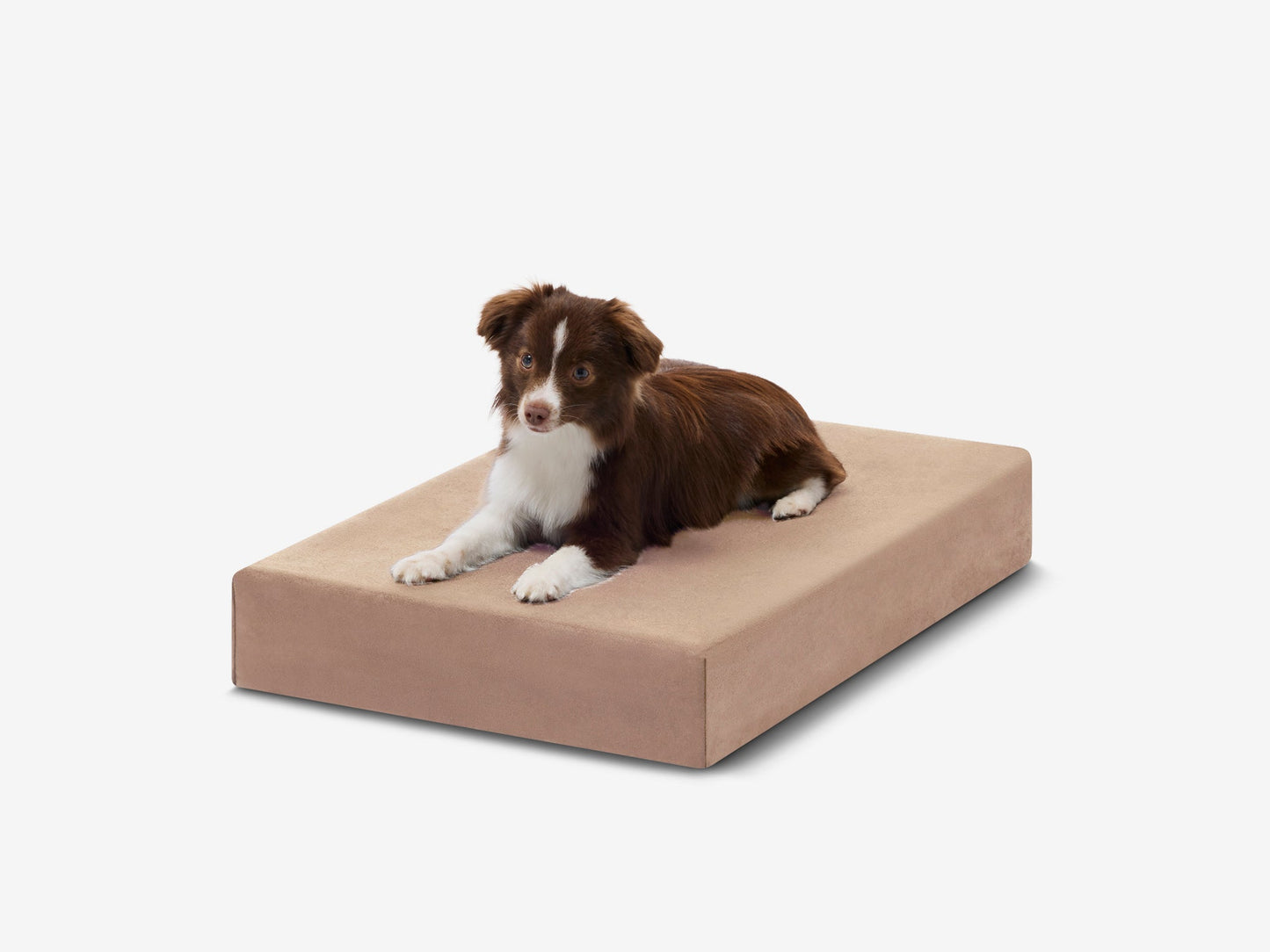 PETLOOM OrthoLift Orthopedic Crate Bed™