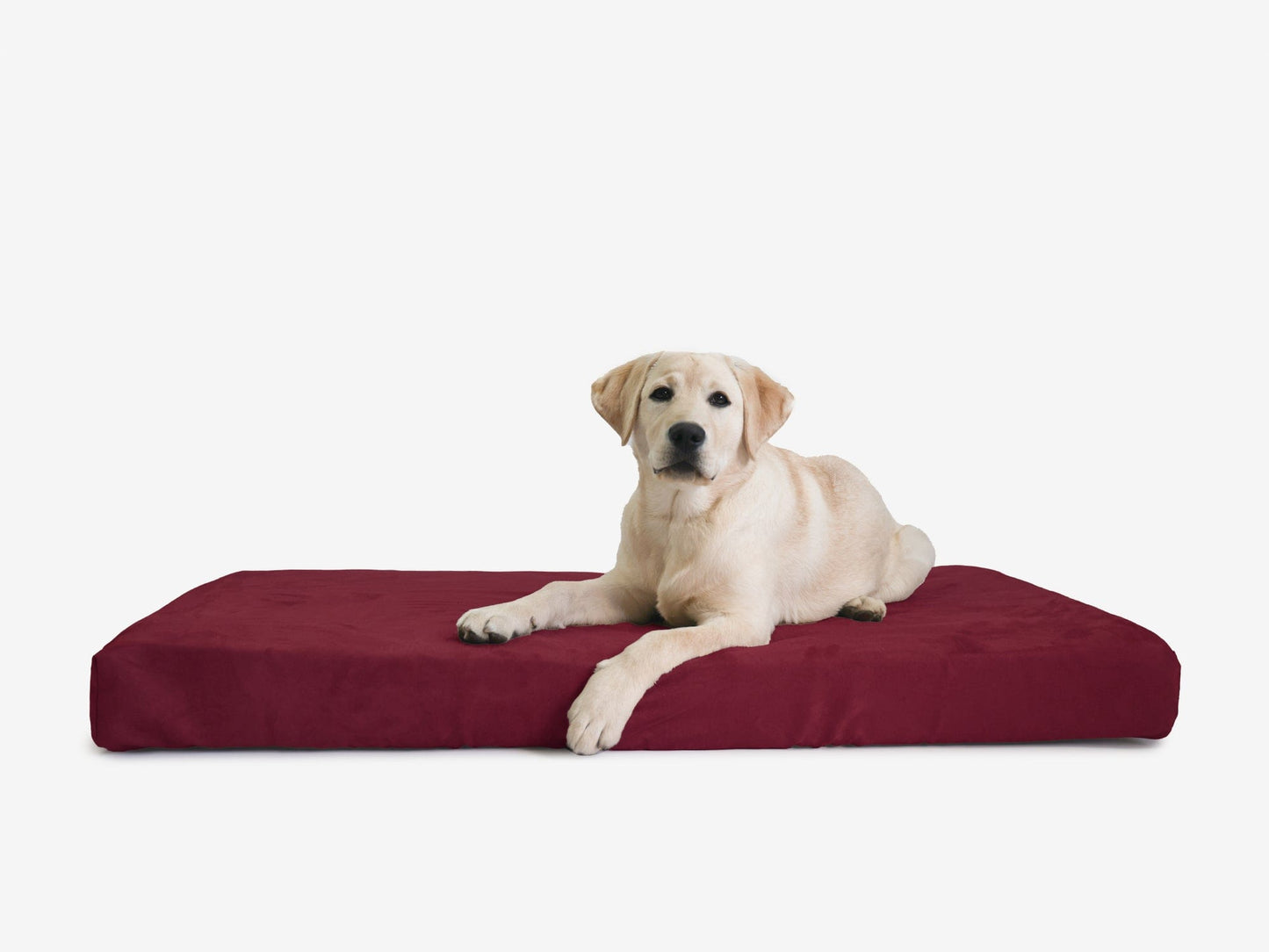 PETLOOM OrthoLift Orthopedic Crate Bed™