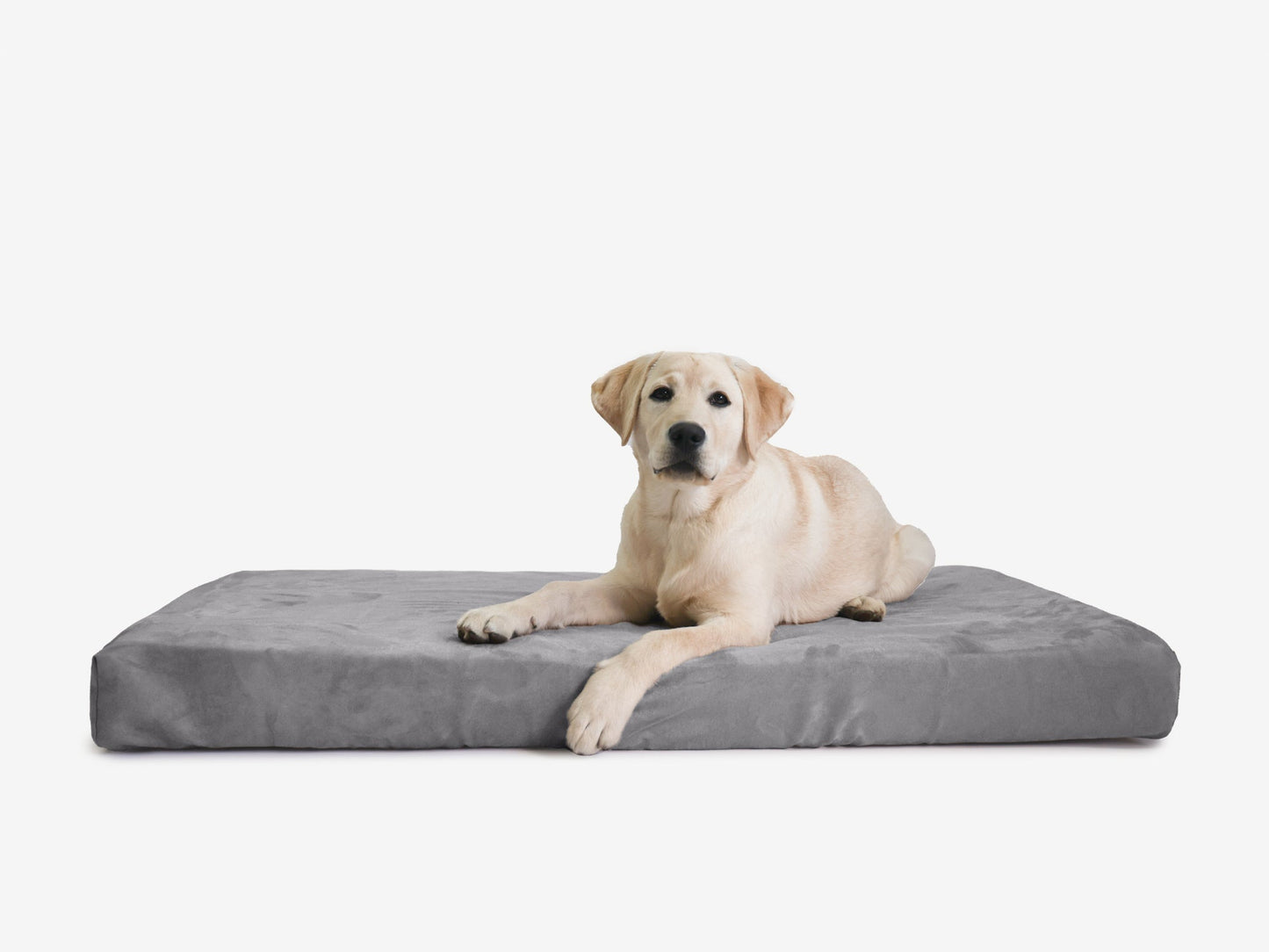 PETLOOM OrthoLift Orthopedic Crate Bed™