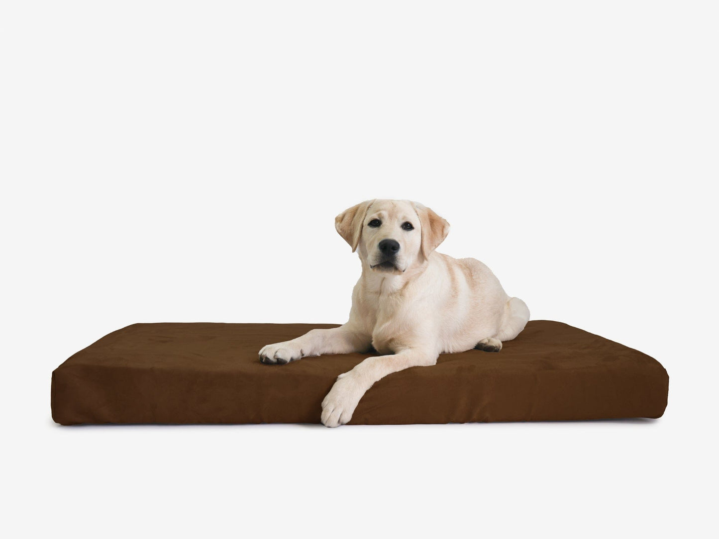 PETLOOM OrthoLift Orthopedic Crate Bed™