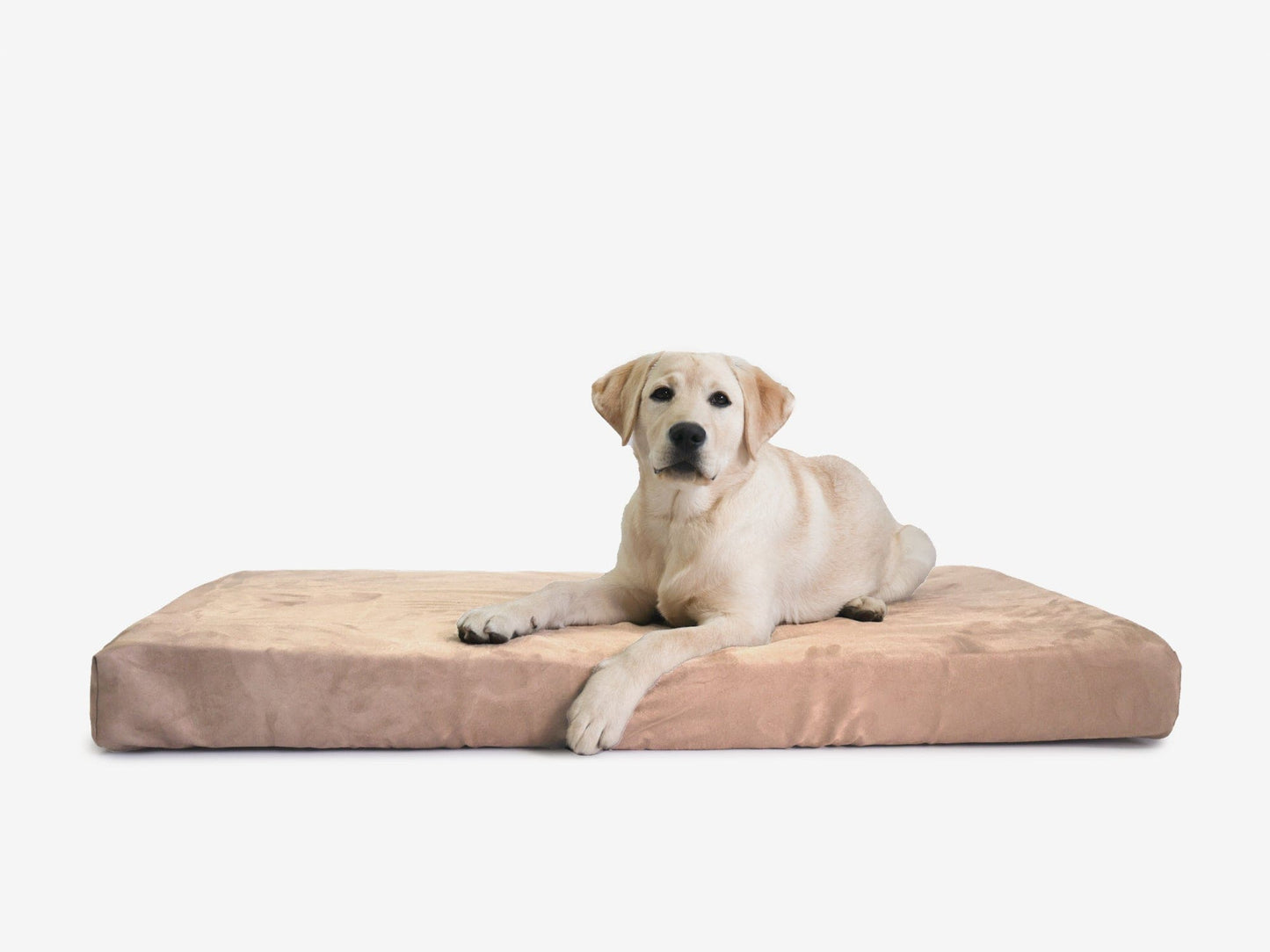 PETLOOM OrthoLift Orthopedic Crate Bed™
