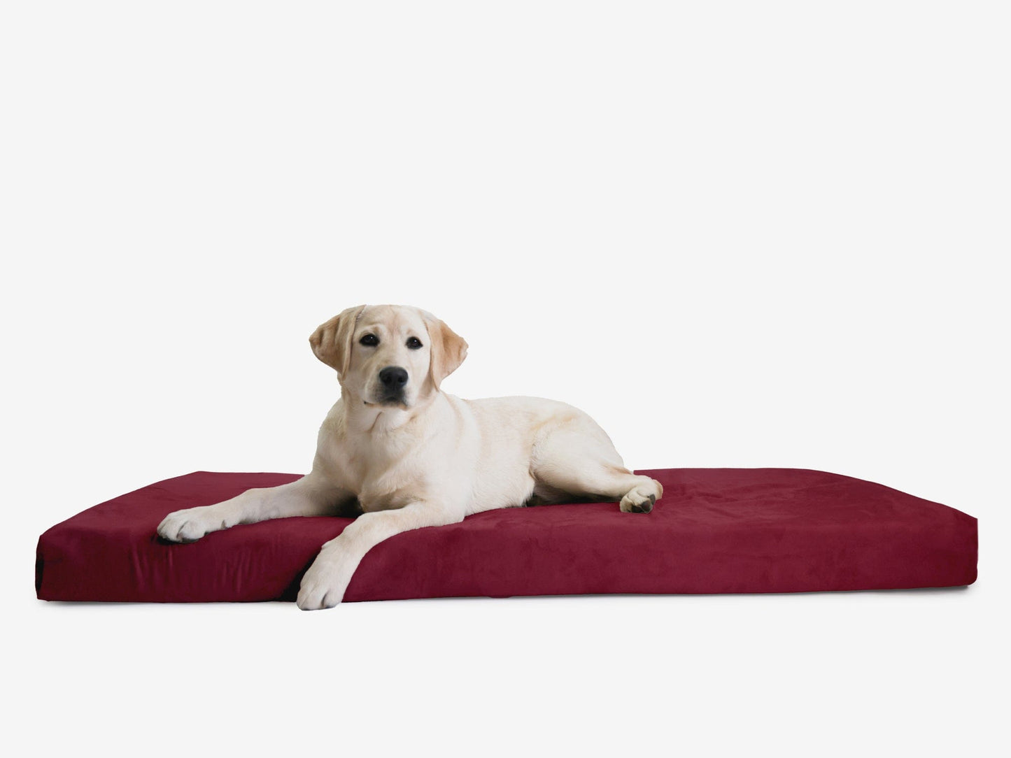 PETLOOM OrthoLift Orthopedic Crate Bed™