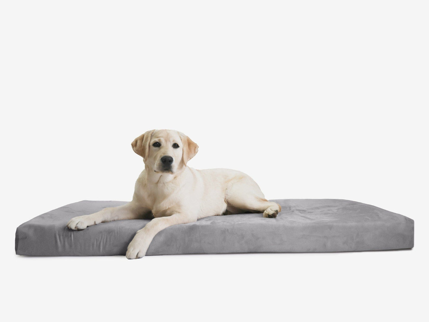 PETLOOM OrthoLift Orthopedic Crate Bed™