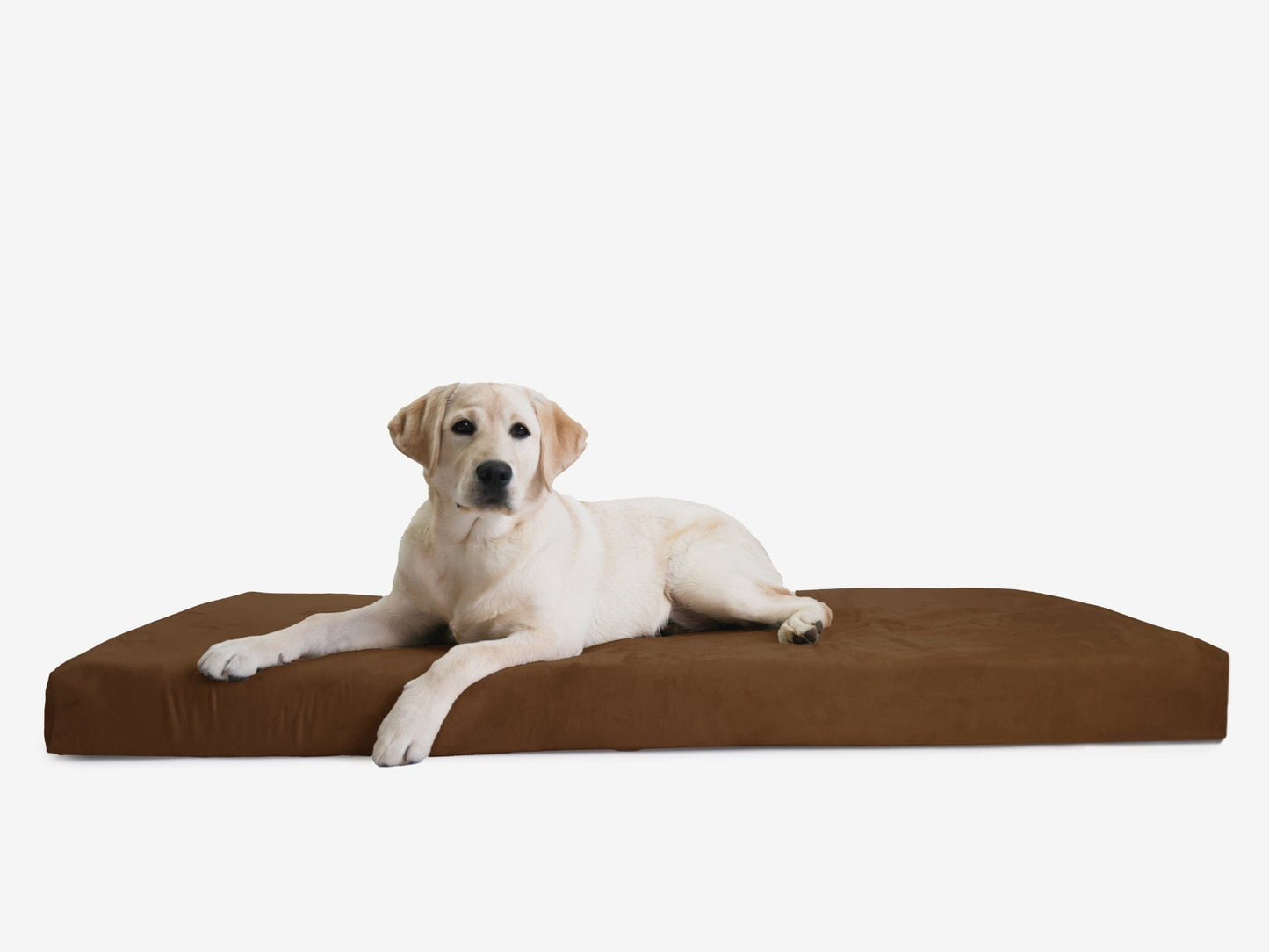 PETLOOM OrthoLift Orthopedic Crate Bed™