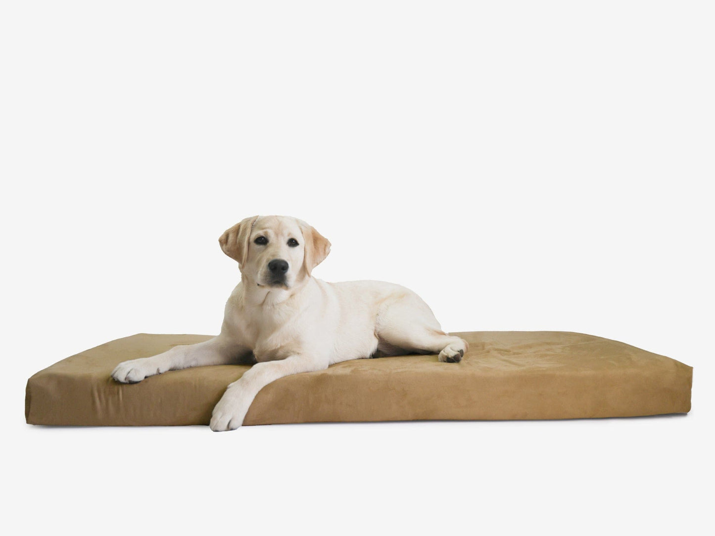 PETLOOM OrthoLift Orthopedic Crate Bed™