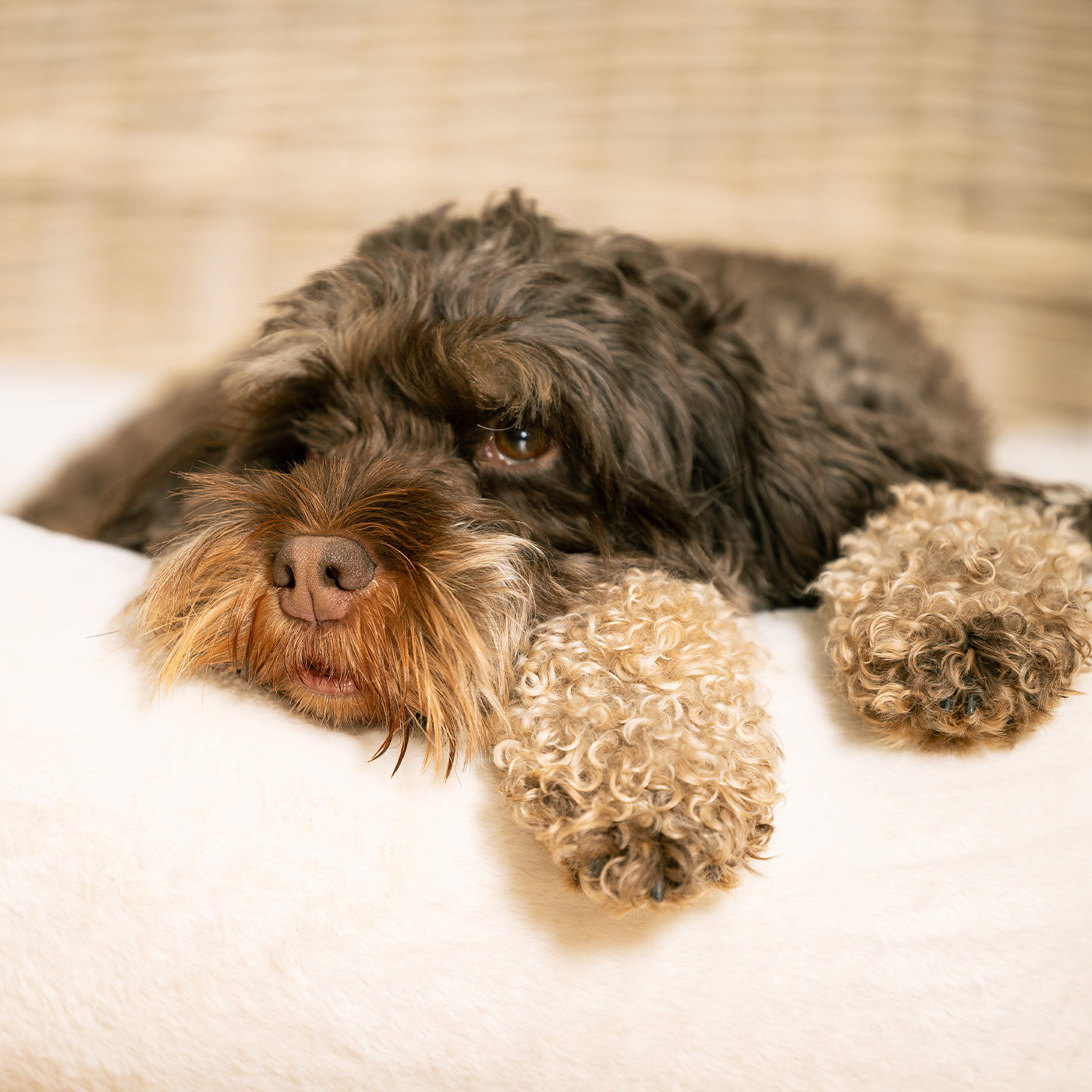 PETLOOM Calming Faux Fur Box Dog Bed™