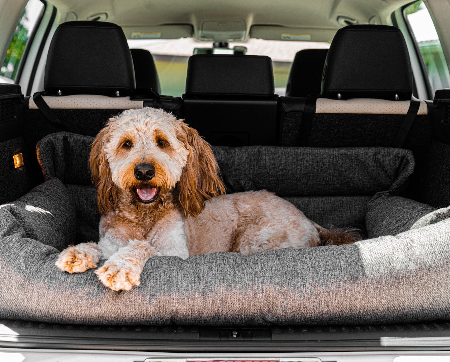 Dog sitting in a pet bed inside a car