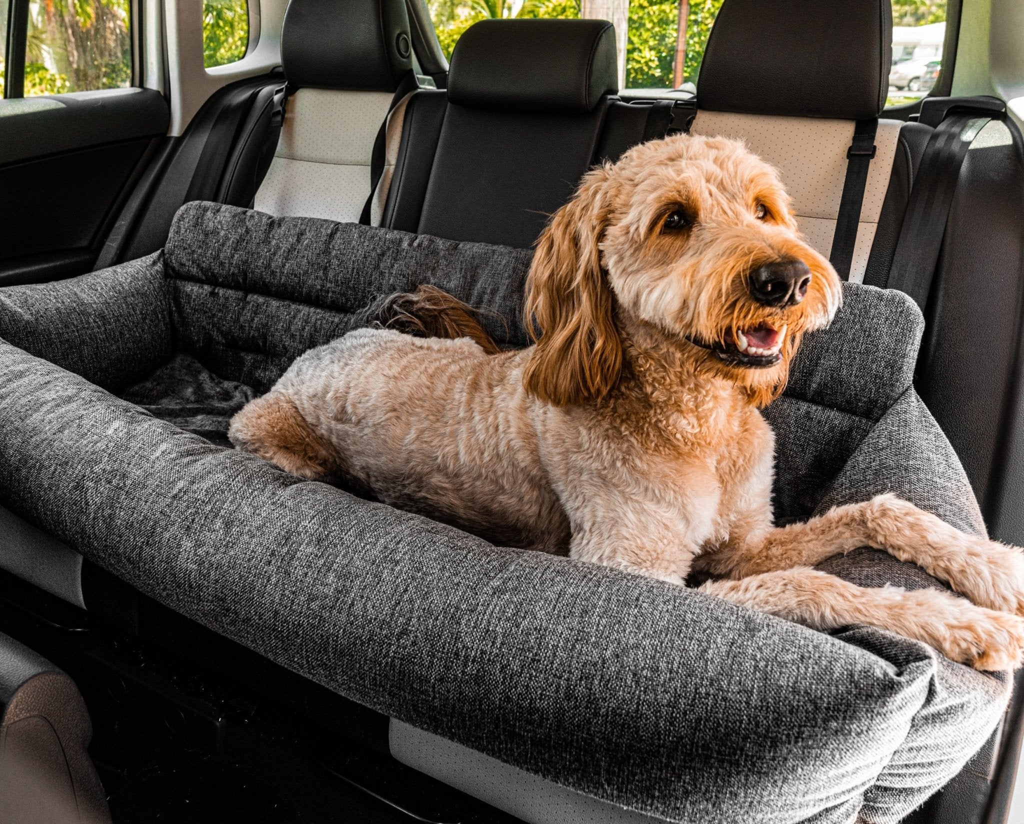 PETLOOM Memory Foam Dog Car Bed™